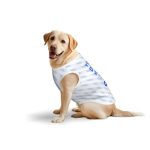 大型犬纯棉背心 柔软透气狗狗居家外出衣服