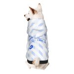 小型犬连帽卫衣 宠物服狗狗猫咪外出保暖衣服